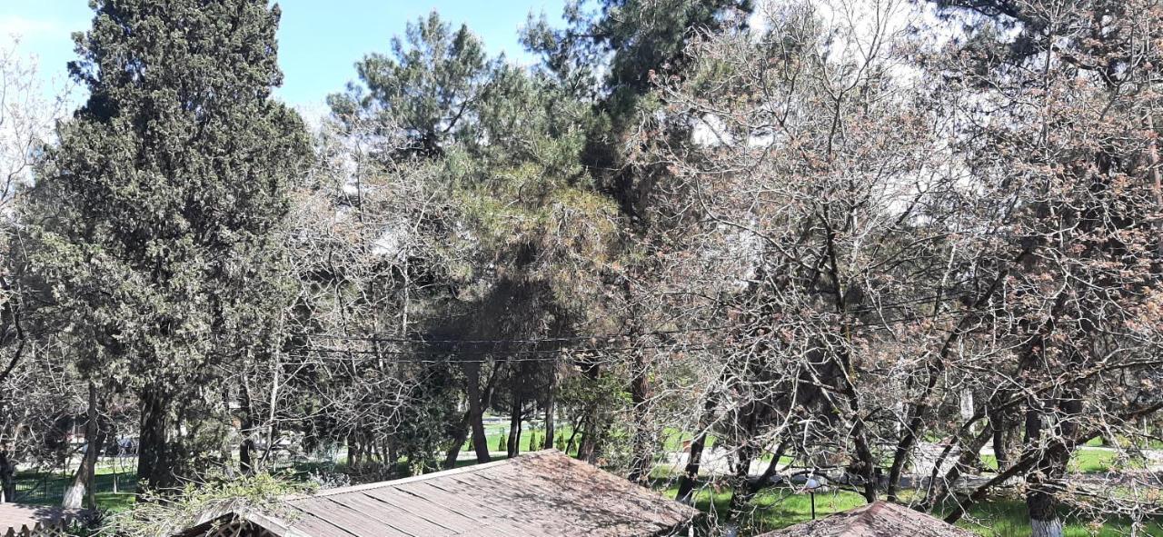 Гостиница "Курорт" Πιτσούντα Εξωτερικό φωτογραφία